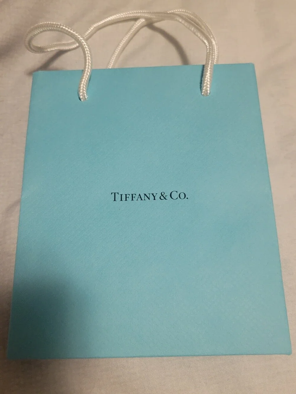 Tiffany & Co. Luxury Paper Gift Bag, Shopping Bag 6